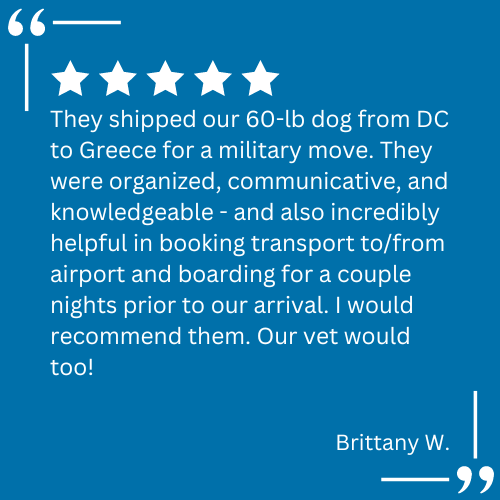 A client testimonial for pet relocation services provided by Continental Pet Relocation