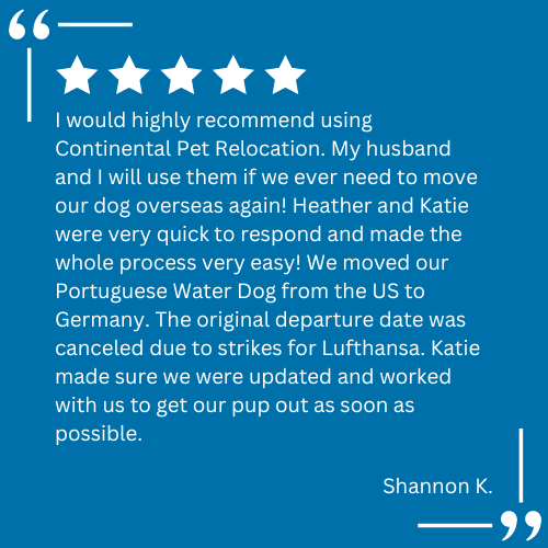 A client testimonial for pet relocation services provided by Continental Pet Relocation