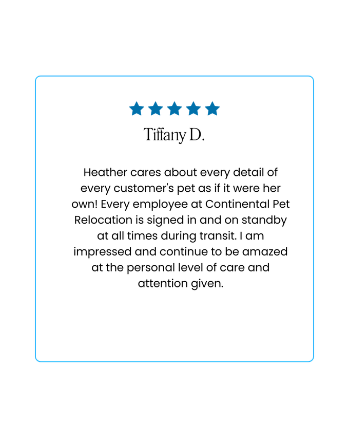 Customer review card with five stars, text from Tiffany D., praising the care during travel.