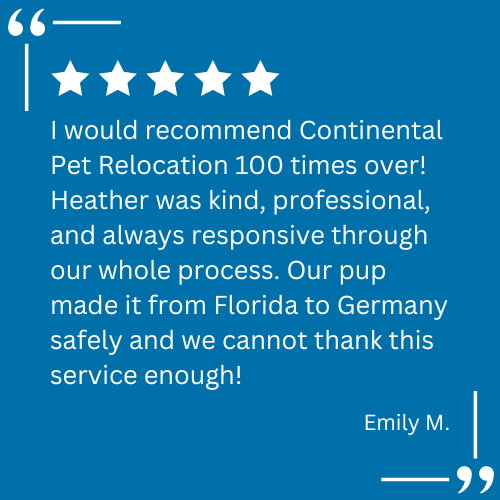 A client testimonial for pet relocation services provided by Continental Pet Relocation