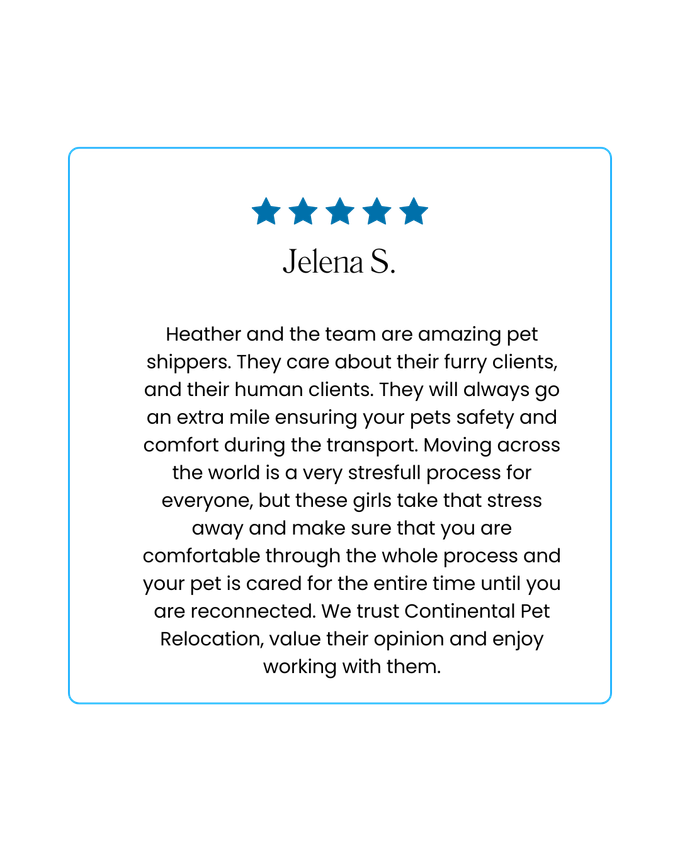 Review card: Five stars, Jelena S. praises pet sitters for caring, comfort, and professional service.