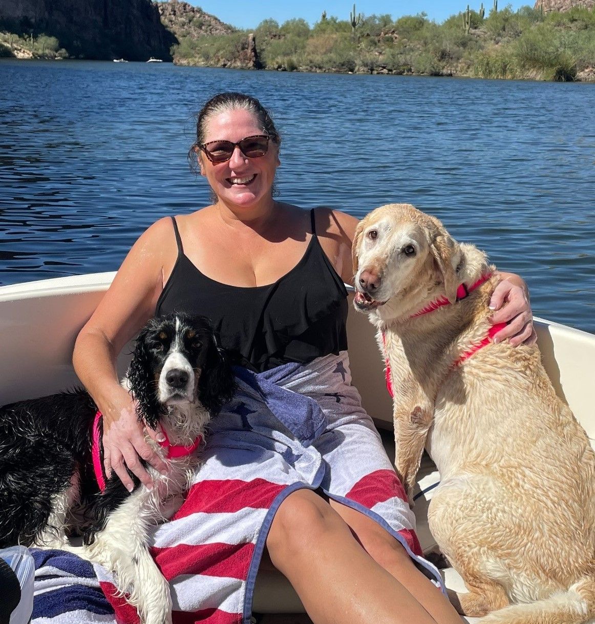 A woman is sitting on a boat with two dogs