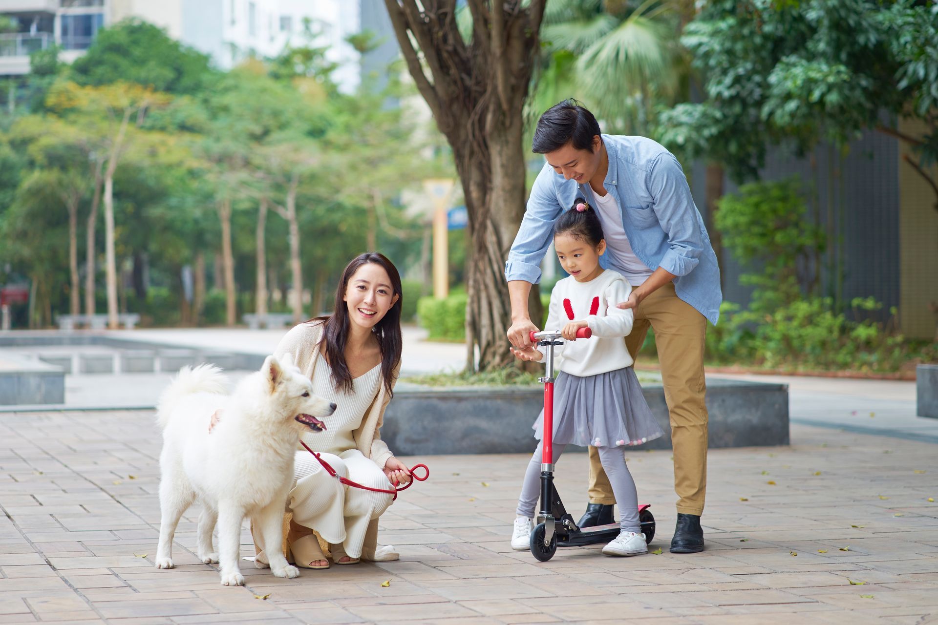A family is playing with a dog and a scooter in a park.