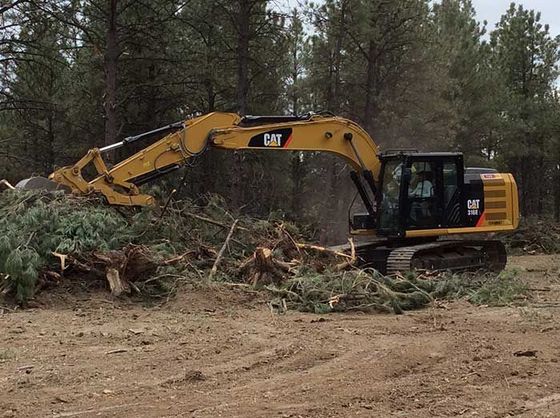 A large yellow excavator is cutting down trees in a field.