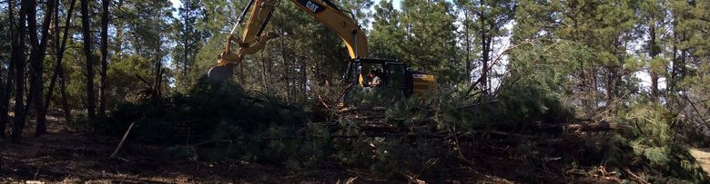 A yellow excavator is cutting trees in the woods.
