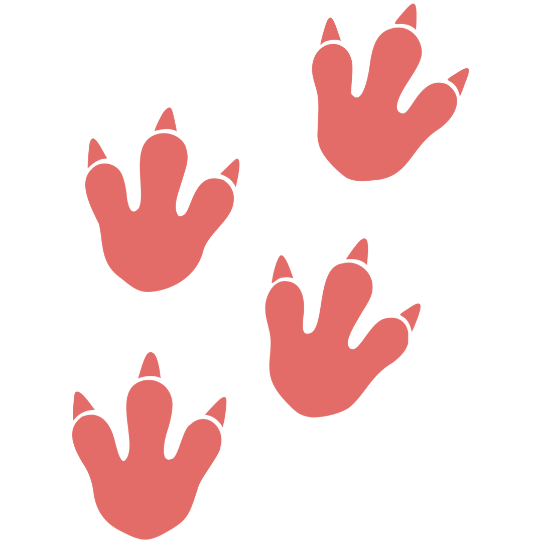 Wonderland Montessori School