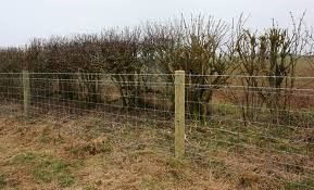 wire animal fencing
