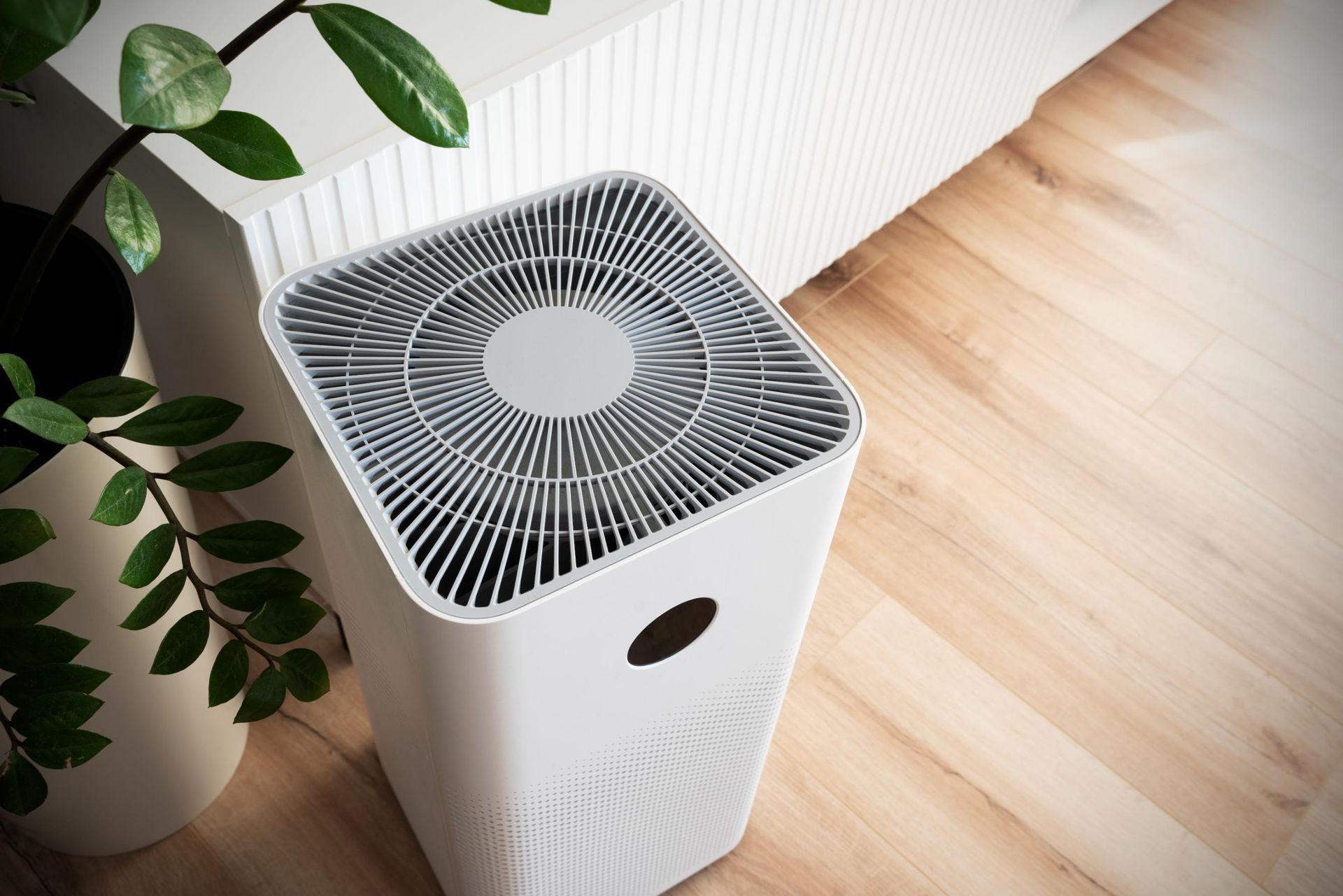 A white air purifier stands on a light wood floor next to a green plant in a home setting.