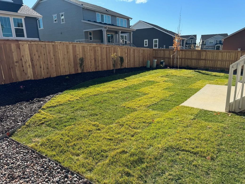 A sunny backyard with patchy, discolored grass next to a concrete patio and a dark wood fence, viewed from above.
