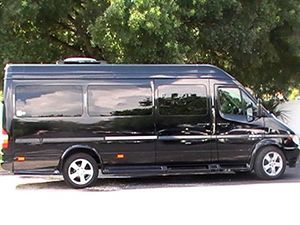 A black van is parked in a parking lot next to a tree.