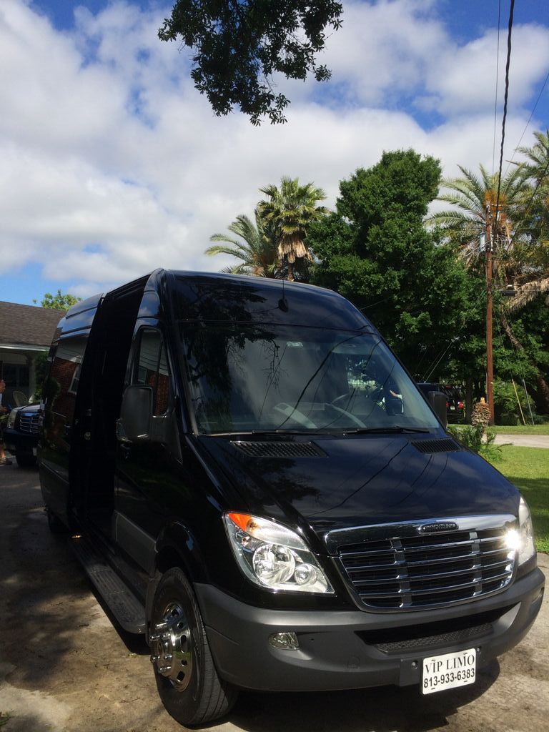 A black van is parked in a driveway with palm trees in the background