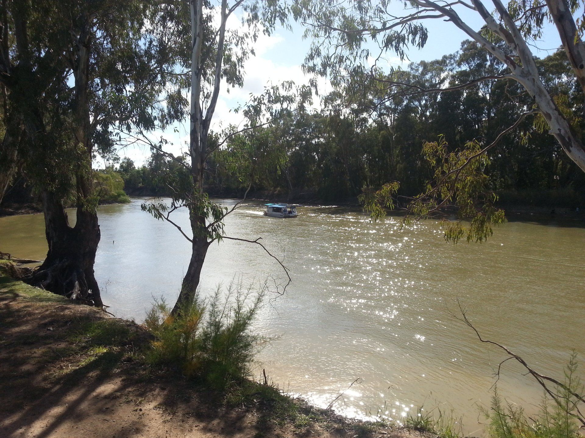 Murray River Koondrook