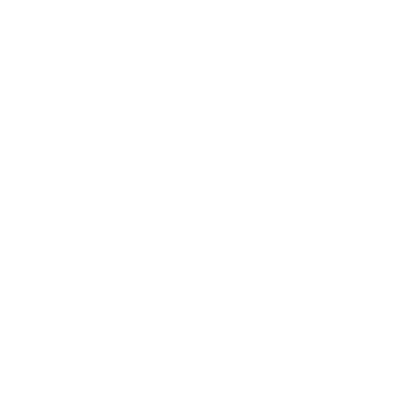 Leddy Power Logo