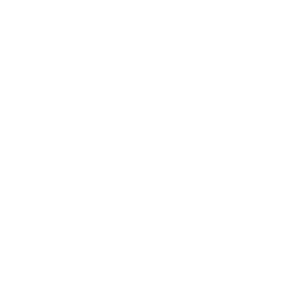 Channel Advisor Logo