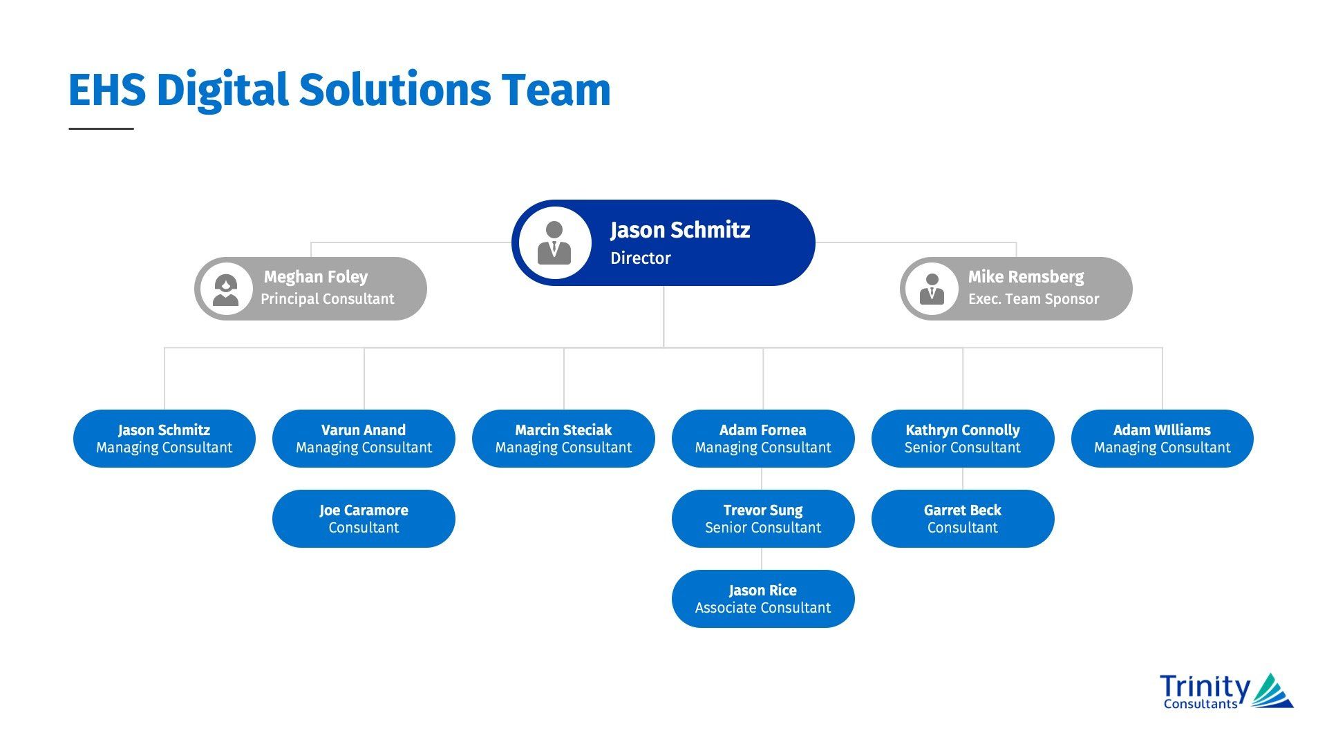 a diagram of the ehs digital solutions team .