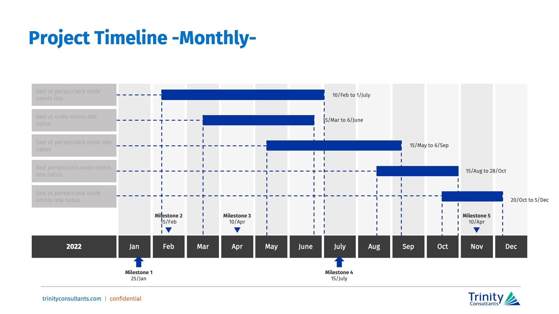 Monthly project timeline with tasks spanning several months, displayed with blue bars and key dates.