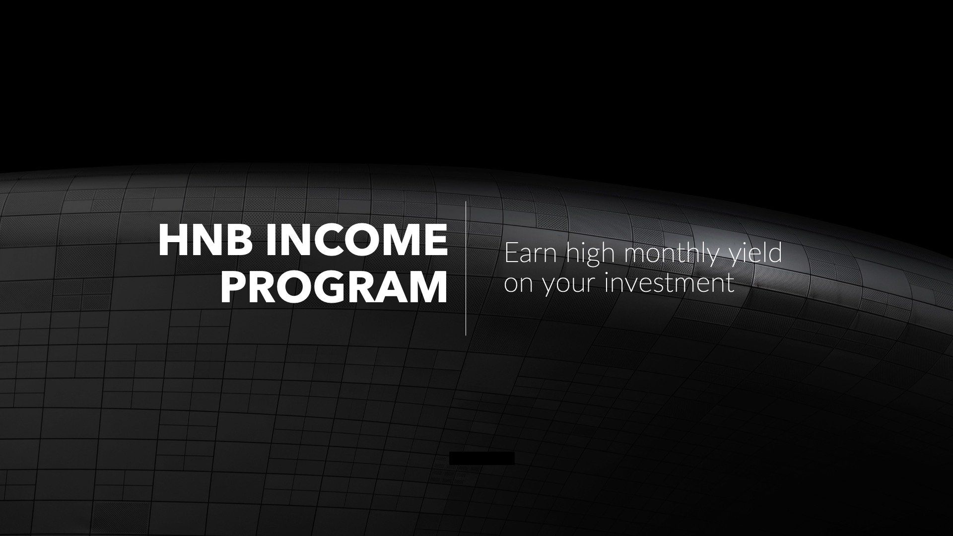 a black background with the words hnb income program on it