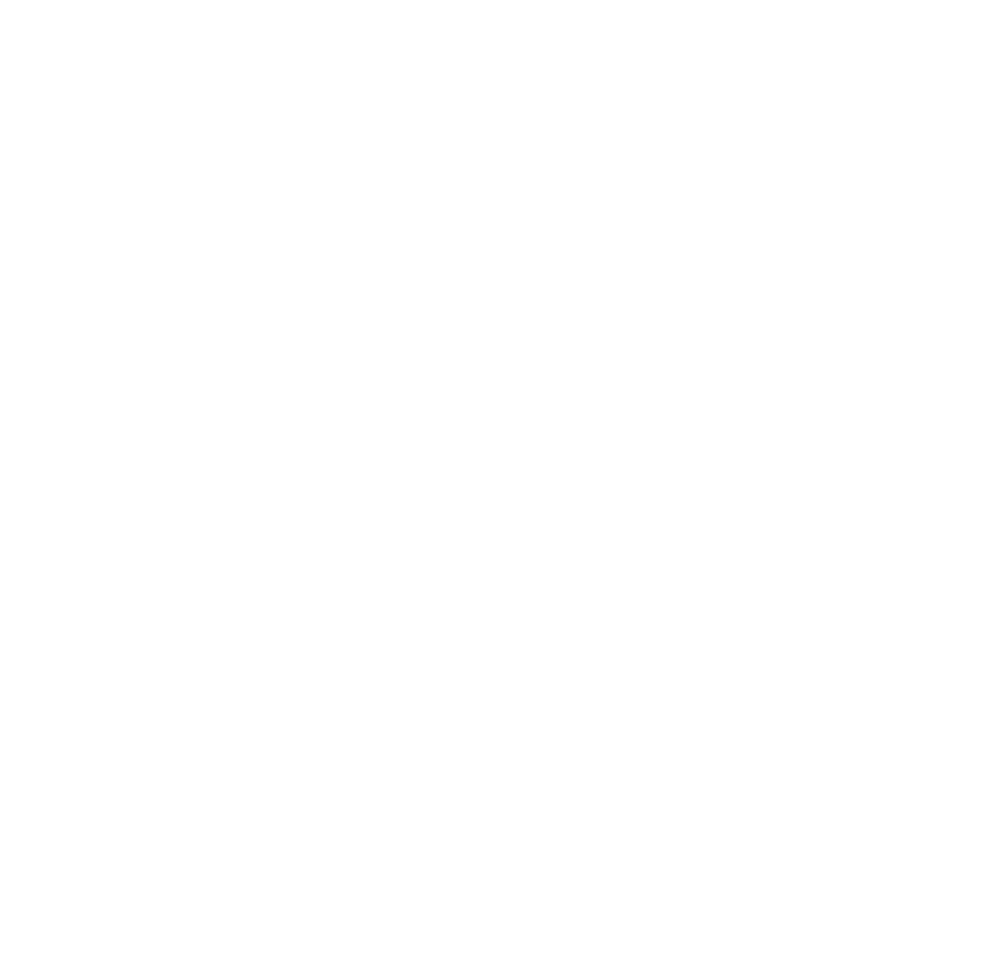 Bolt logo