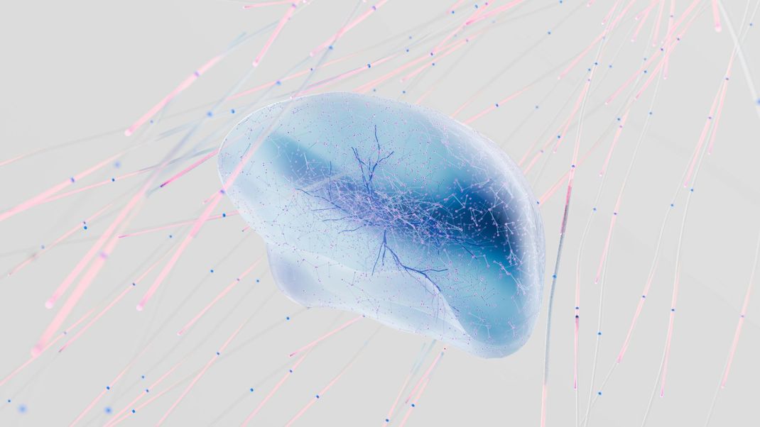 Une méduse bleue flotte dans l'eau sur une surface blanche.