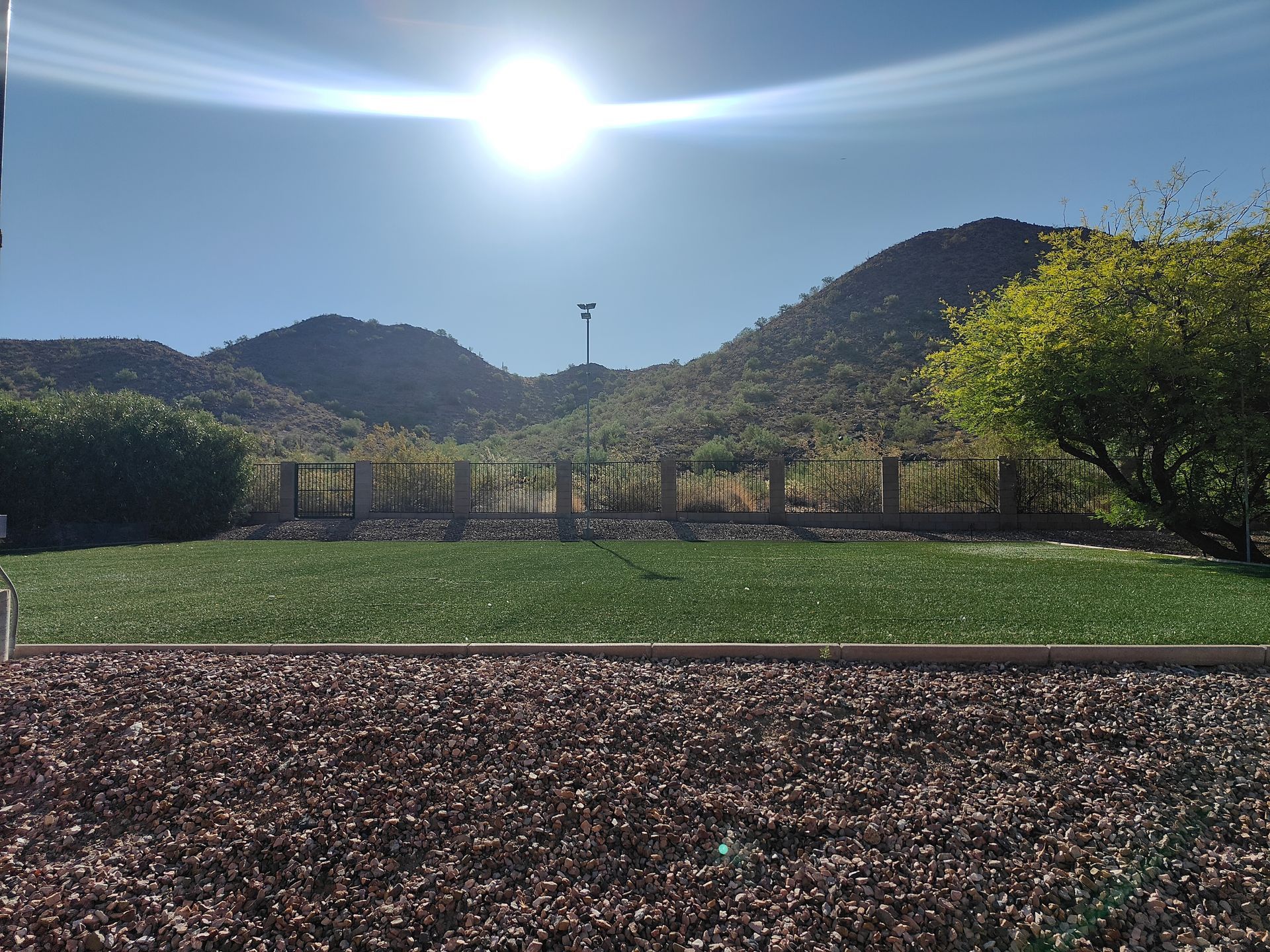 A sign that says saguaro family loop on it