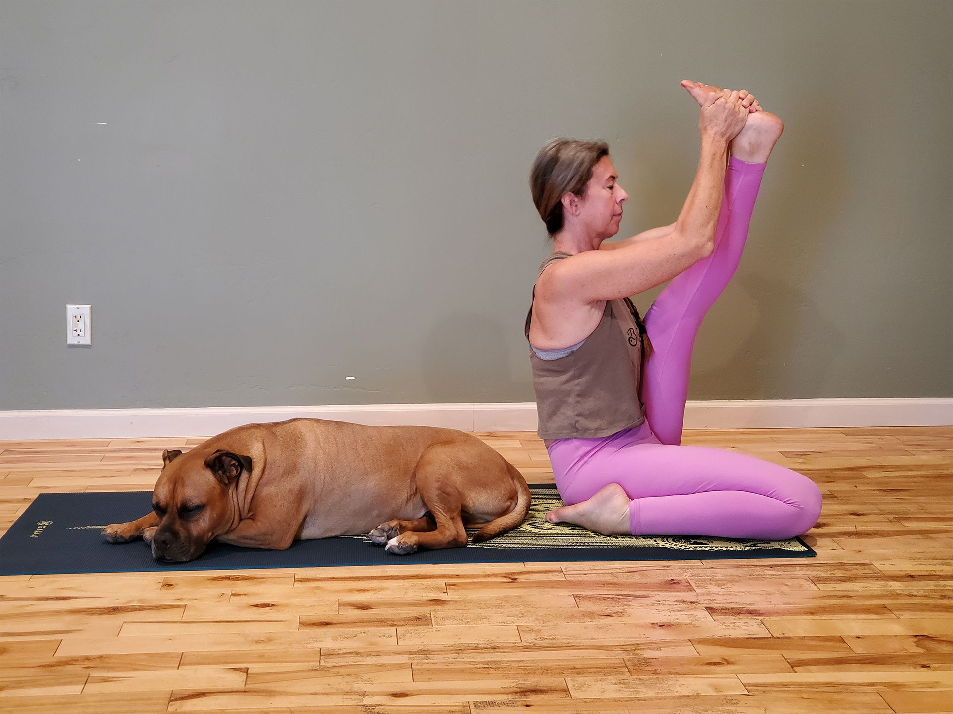 Woman doing yoga, leg raised, on a mat; dog lies beside her on the mat.