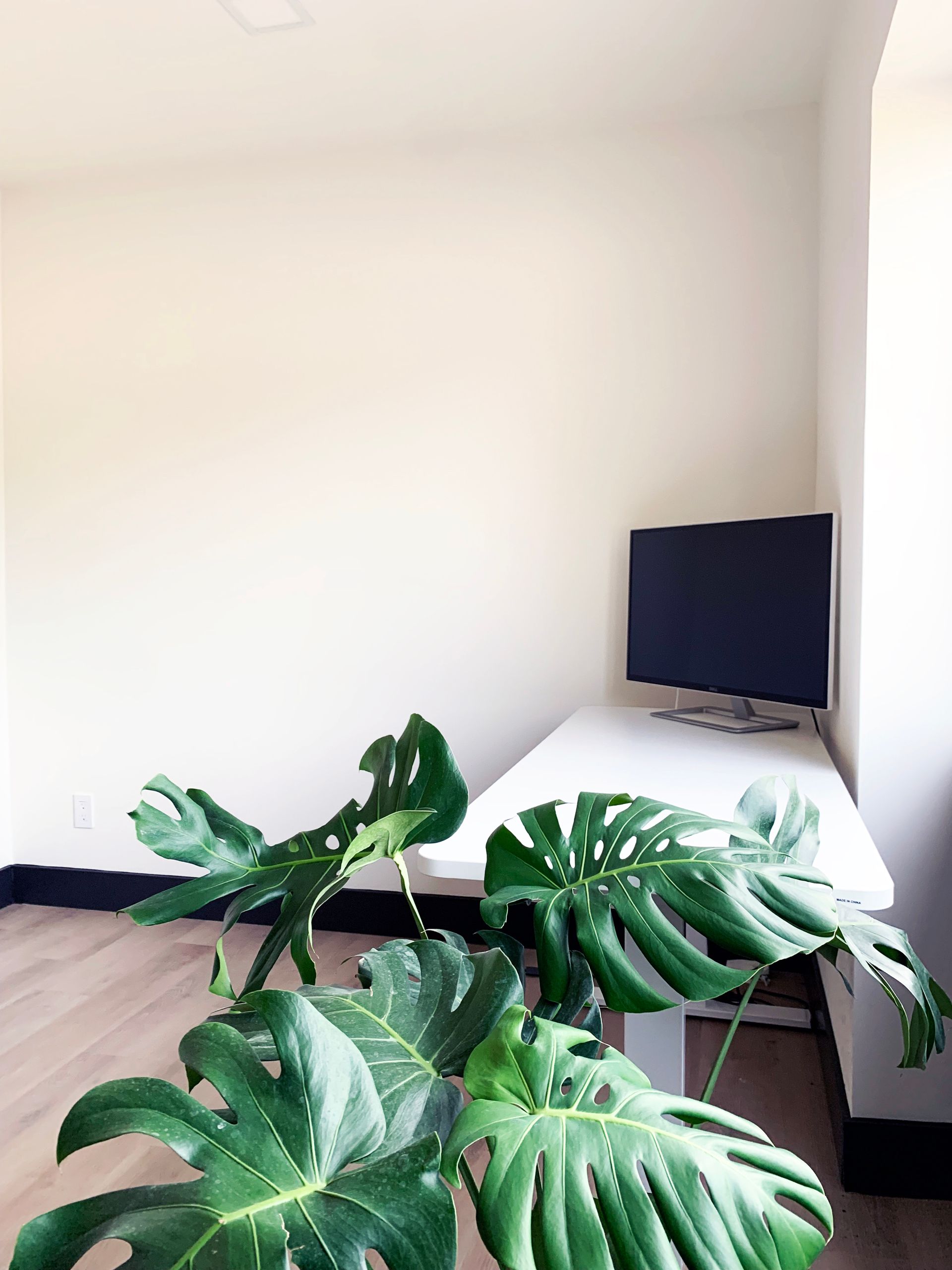 Contact the Leasing Team at the Stephens Lake Building to Learn About Our Available Offices for Rent