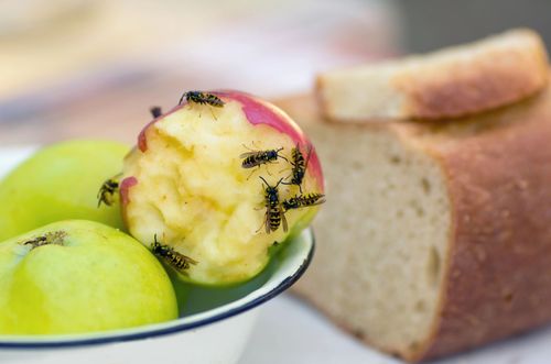 Vespe che si nutrono di una mela parzialmente mangiata in una ciotola accanto a una pagnotta di pane.