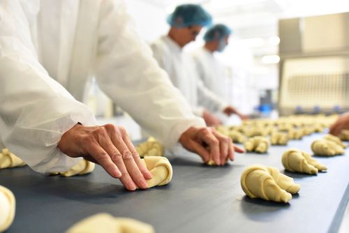 In una fabbrica alimentare, operai con retine per capelli e indumenti protettivi bianchi dispongono file di croissant su un nastro trasportatore.