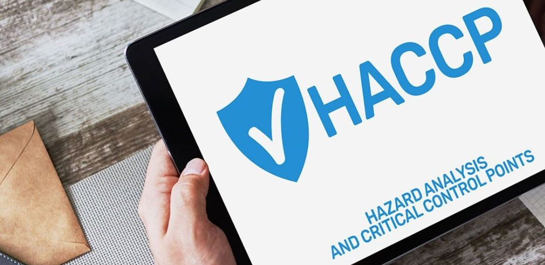 Una mano regge un tablet su cui è visualizzato il logo di uno scudo blu, la scritta 