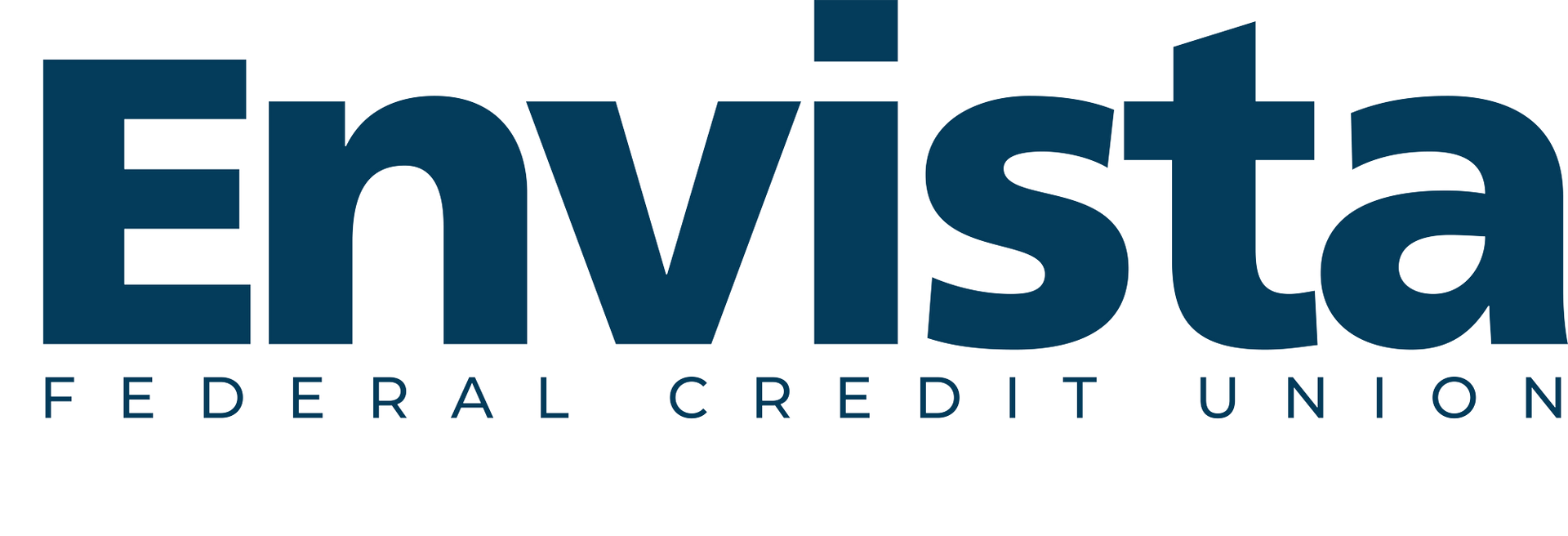 Envista logo in dark blue text on a white background