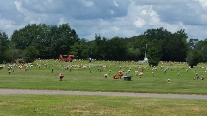 A grassy cemetery field with rows of grave markers, scattered trees, and a red piece of maintenance equipment.