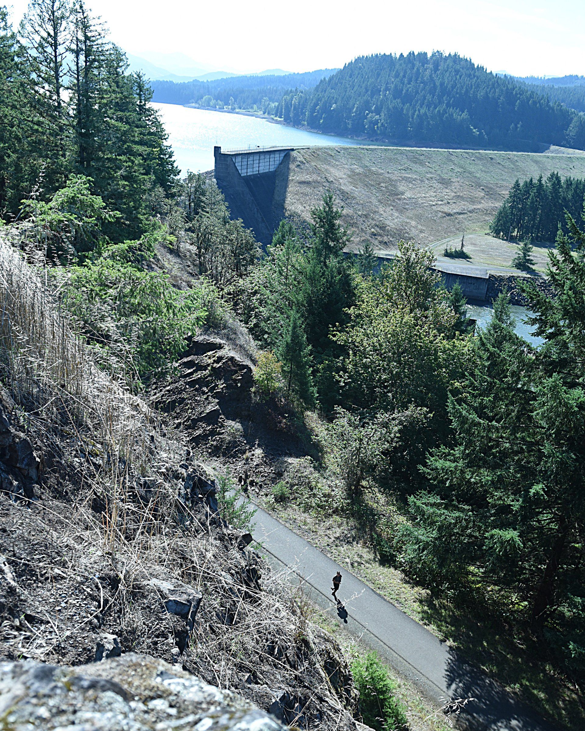 A road going through a forest with a river in the background