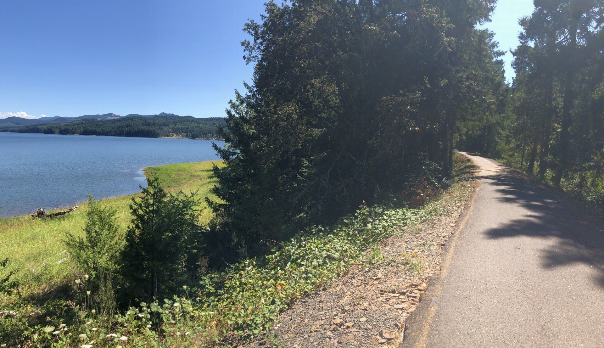 A road leading to a lake surrounded by trees on a sunny day.