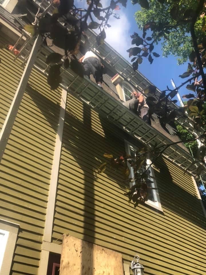Workers on a green house roof, partially obscured by foliage. They are near the gutter and window.