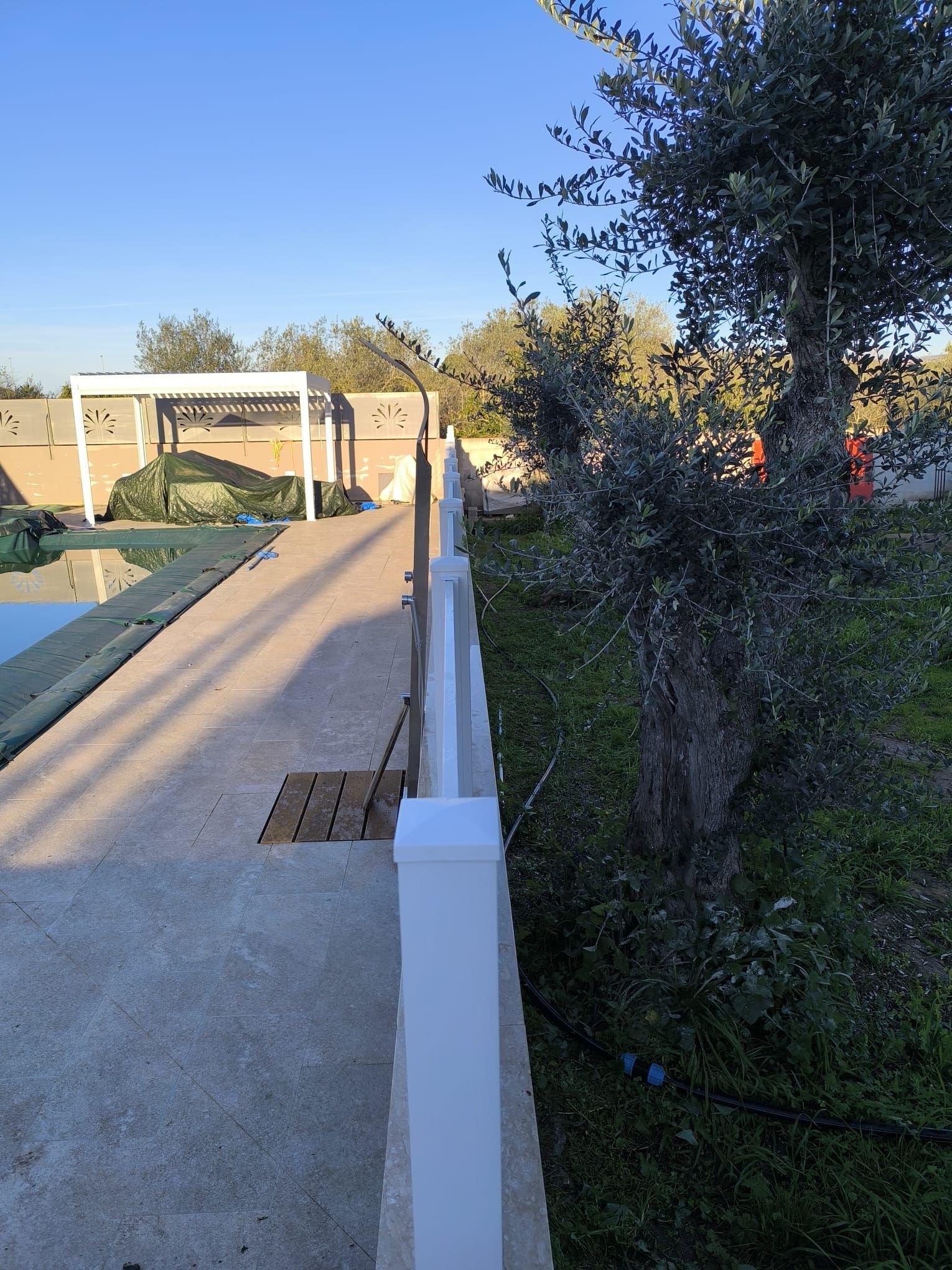 Passerella in cemento con ringhiera bianca accanto a un ulivo e una piscina. Cielo azzurro.