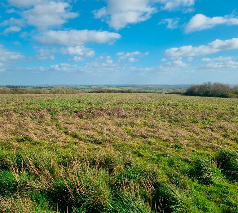Biodiversity Net Gain Rosehill Farm, Cheselbourne, Dorchester, Dorset