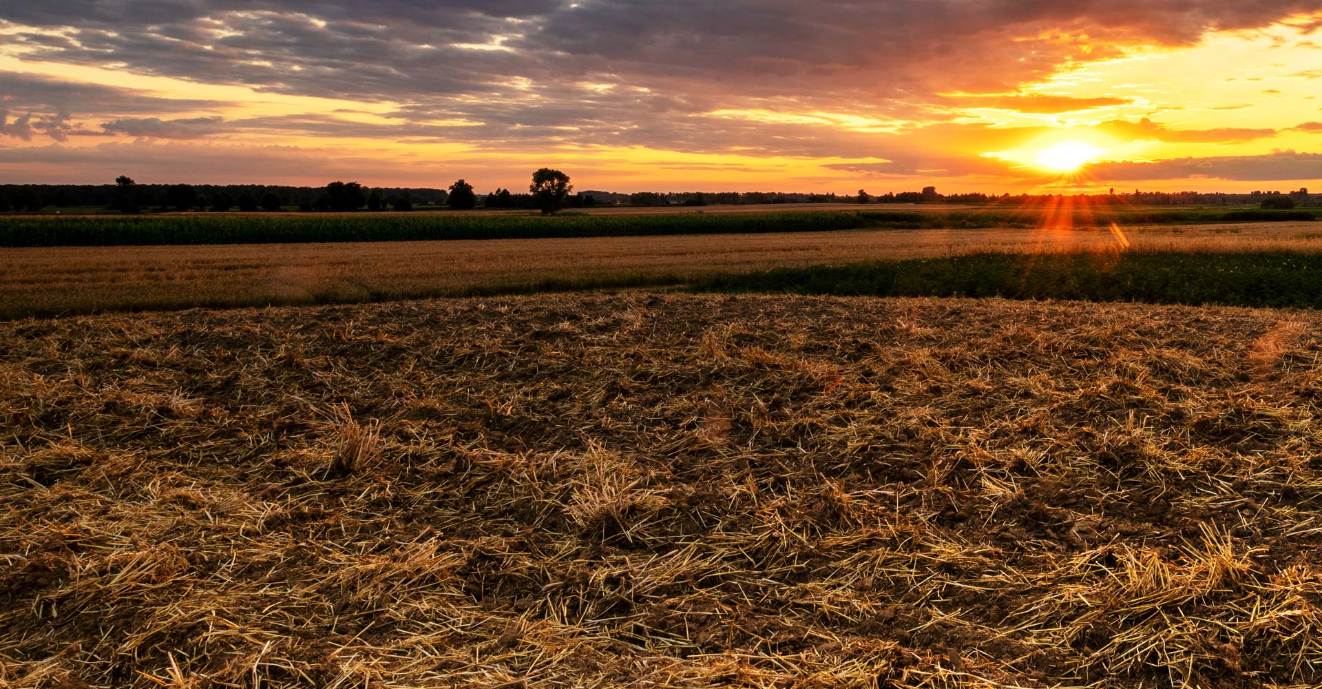 Northern Stock Water: Water Infrastructure & Ag Supplies for Rural Aus