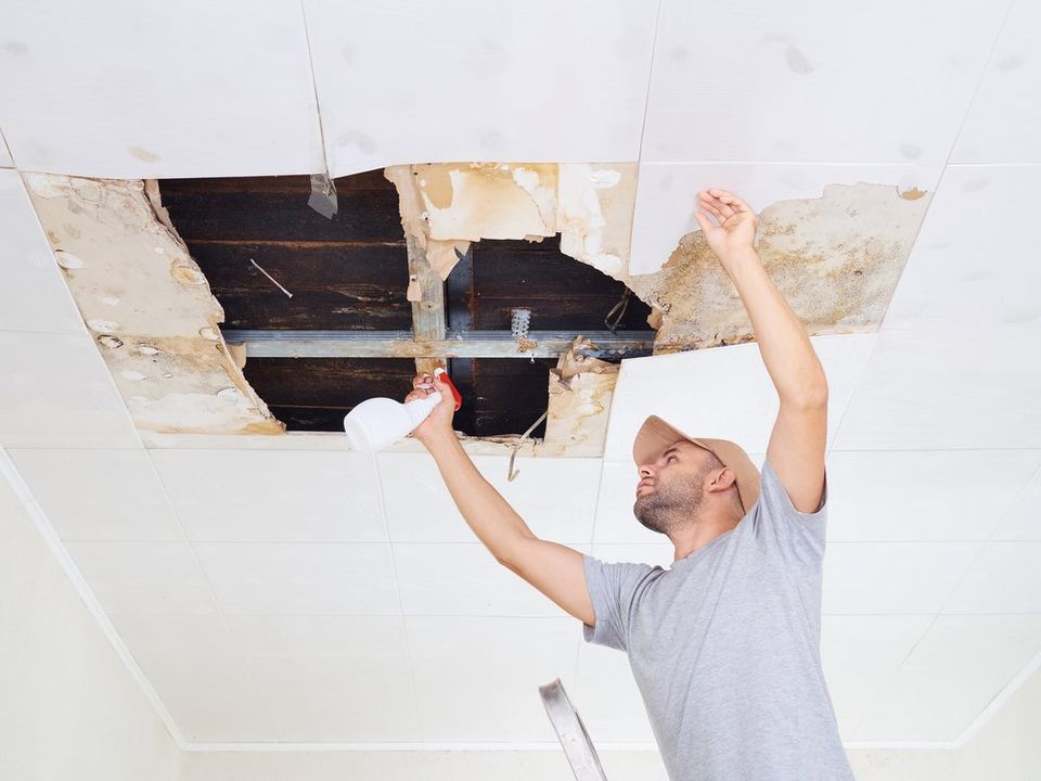 Learn the common causes of mold and eliminate or reduce them for a healthy business. - Restoration 1 of Hunterdon County
