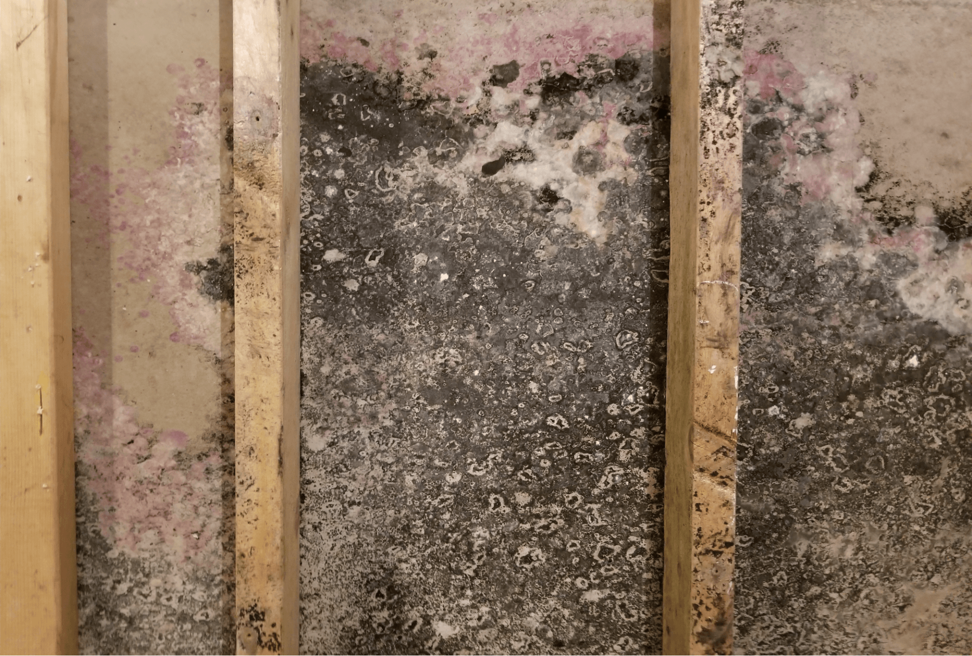 Hidden mold deteriorating the inside of a wall. - Restoration 1 of Hunterdon County 