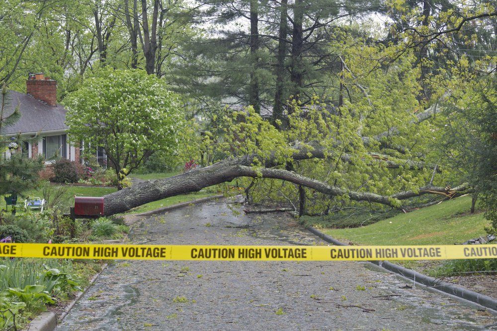 Finding the best storm damage restoration company in Flemington, NJ, is as simple as picking up the