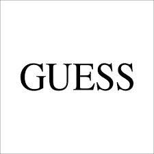 logo guess