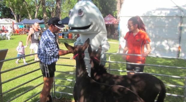 Freds Pass Show 2014