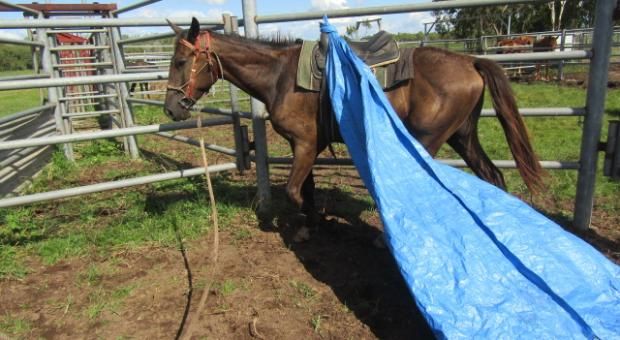 Wet Season Training