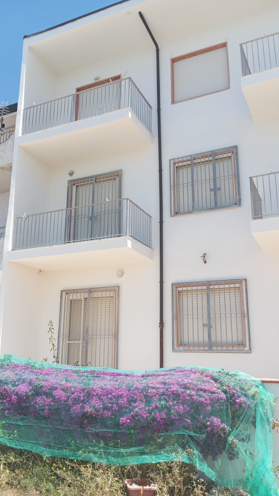 Un edificio bianco con fiori viola di fronte