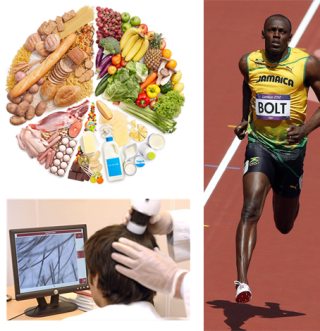 rappresentazione servizi per l'alimentazione sportiva e analisi del capello