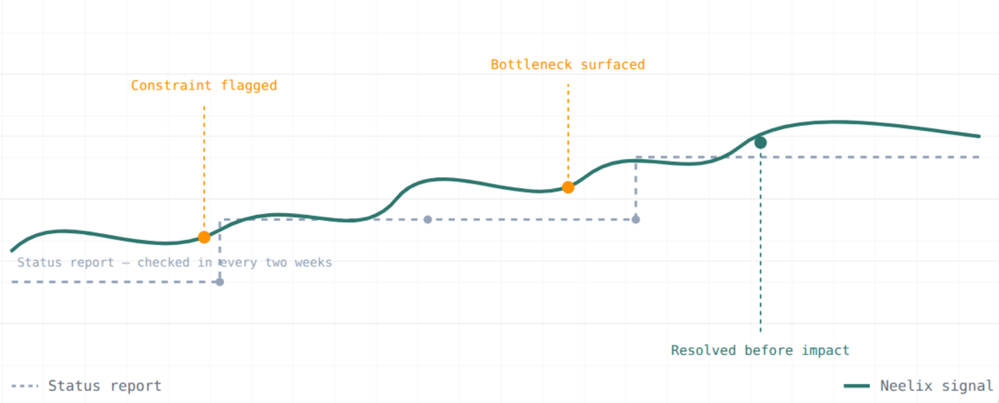The live health layer across your organisation - Neelix Platform