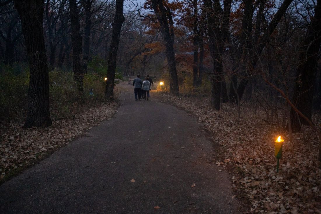 A couple of people are walking down a path in the woods at night.