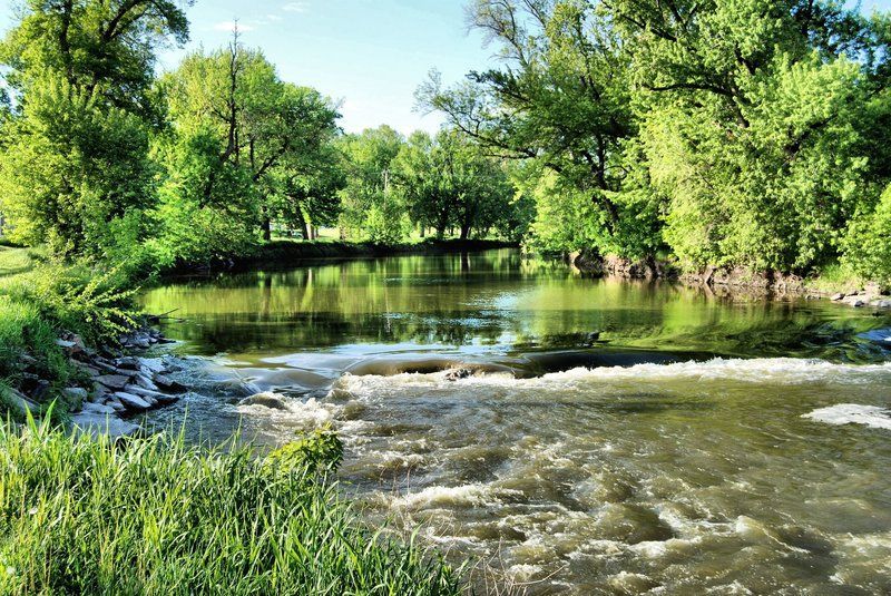 A river flowing through a lush green forest on a sunny day.