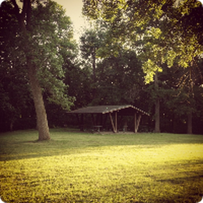 A picnic shelter in the middle of a grassy field