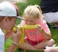 A boy and a girl are eating corn on the cob.